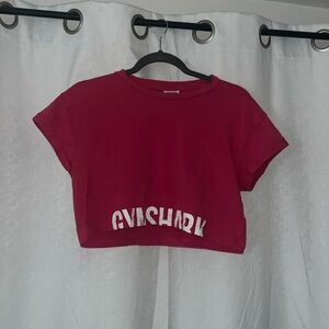Gymshark Fraction Crop Top